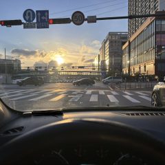 아기와의 외식은 혼자 다니는 게 진짜