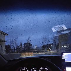 관악에서 연수받았어요