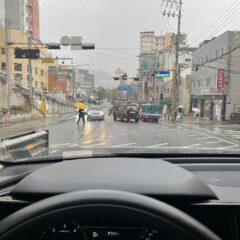 5년 만에 운전 재개했어요