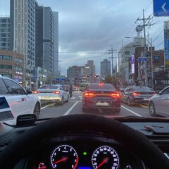 트럭 라인에 스트레스 받았어요