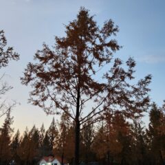 지하주차장 이제 두려워하지 않아요!