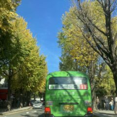 관악운전연수 3주 후기