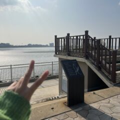 관악 도로는 정말 복잡하다