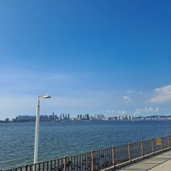 도로 여행은 남편이 아니면 안 돼요