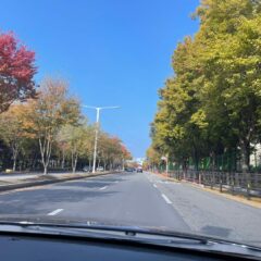 관악 쪽 도로는 긴장이에요