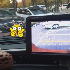 차고기 끝내는 방법 공략!