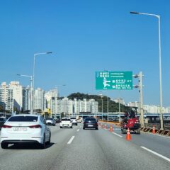 고속도로 첫 도전 성공!
